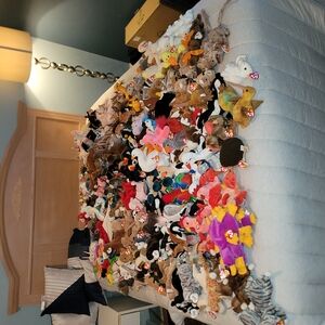 Colorful Beanie Babies Collection